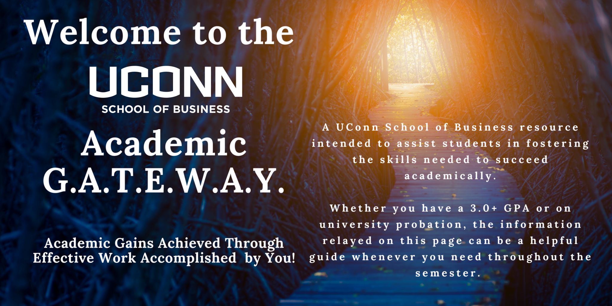 Welcome to the UConn School of Business Academic GATEWAY
