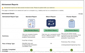 The image displays a webpage section titled "Advisement Reports." It begins with a yellow warning banner stating that advisement reports can take several minutes to load and should be viewed on a computer, not a phone or tablet. Below this, the "Advisement Details" section presents a table with three report types: "Standard Report," "What-If Report," and "Planner Report," each in its own column.