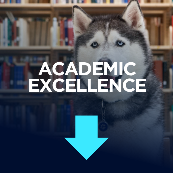 A husky dog is pictured in front of bookshelves, with the words "ACADEMIC EXCELLENCE" and a light blue downward arrow overlaid on a dark blue background.